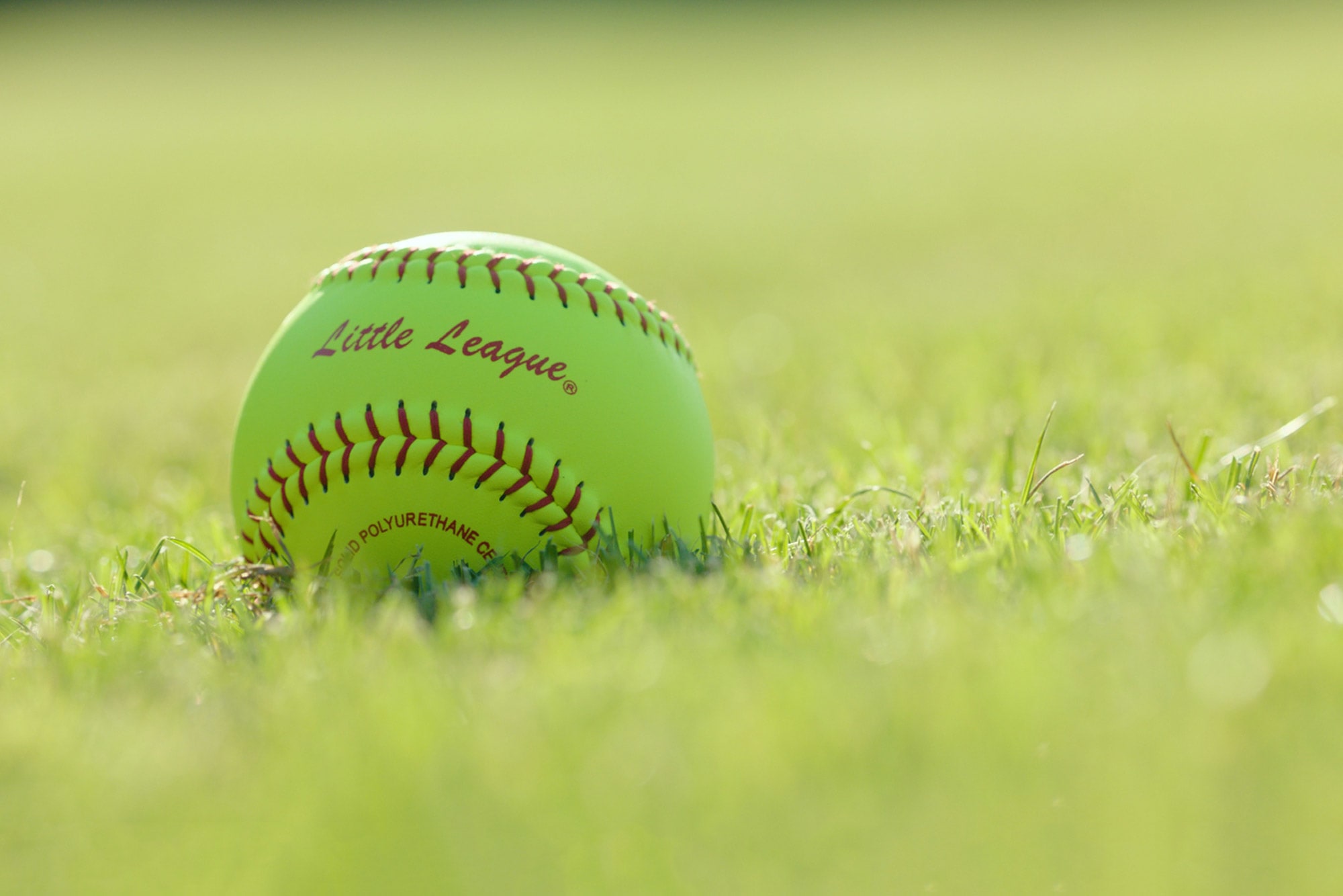 softball in grass